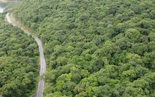 Thanh tra việc chuyển mục đích sử dụng đất rừng làm nhà máy xử lý rác Côn Đảo