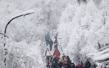 Khách Việt bị yêu cầu giấu túi nilon đi khi du lịch Trung Quốc, lý do phía sau khiến ai cũng lạnh sống lưng