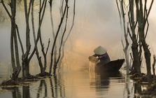 Lập kỷ lục chưa từng có, mặt hàng Việt Nam khiến Trung Quốc thích mê, ồ ạt thu mua