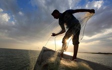 Chuyên gia chứng khoán: Dòng tiền vẫn luân chuyển tích cực, không thiếu cơ hội tìm kiếm lợi nhuận cho nhà đầu tư