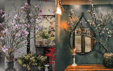 5 loại hoa chơi Tết “không có đỉnh nhất chỉ có đỉnh hơn”: Chưng xong chỉ ngẩn ngơ ngắm, đẹp đến nỗi cạn từ khen