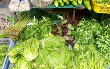 Loại rau tốt bậc nhất thế giới, bổ ngang nhân sâm tổ yến, chợ Việt bán đầy từ 15.000 đồng/kg