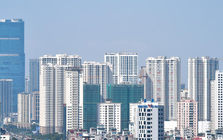 Có 30 địa phương hoàn thành việc xử lý cơ sở nhà, đất dôi dư