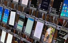 'Kiếm' hơn 50 tỷ đồng từ hàng trăm người nhờ 'chăm' xem livestream, 11 thanh niên bị công an bắt giữ