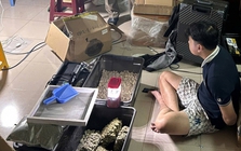 Đột kích ngôi nhà số 745, bắt Đỗ Hữu Duy sinh năm 2003 trong chuyên án lớn nhất