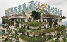 Loạt cổ phiếu BĐS tăng mạnh sau 'tin đồn' Trung Quốc dỡ “ba lằn ranh đỏ’