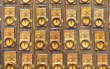 3 ĐIỂM CHUNG của người CÓ VÀNG ở thời điểm này