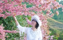 Đổ xô du lịch Sa Pa, Mù Cang Chải