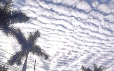 Giải mã hiện tượng ‘lưới mây’ bao phủ bầu trời TP.HCM