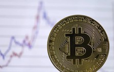 Khoảng 17 triệu người Việt sở hữu tài sản số