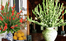 5 loại hoa NÊN trưng bàn thờ Tết: Giữ cát khí, tụ phúc lành, đón lộc đầu năm