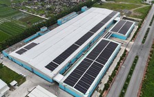 Damsan báo lãi gần 123 tỷ đồng năm 2025, tăng trưởng 89%