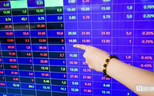 Hủy tư cách công ty đại chúng của Cienco1, Sông Đà 1.01