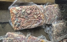 Điều gì xảy ra với cơ thể nếu ăn lòng heo ôi thiu?