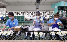 Hơn 54.000 doanh nghiệp gia nhập và tái gia nhập thị trường trong tháng 1/2026