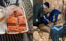 Cận cảnh 12 tấn trứng non, sụn gà... “chữ lạ” nằm la liệt trong 3 xe container đang chờ tuồn ra thị trường tại Hà Nội