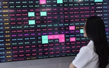 Một tháng, hơn 54.000 doanh nghiệp gia nhập thị trường