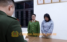 Ra quyết định khởi tố Trần Thị Trà My sinh năm 1989