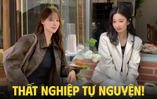 Tự nghỉ việc rồi thất nghiệp, sau đó thì sao?