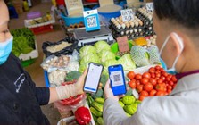 Thanh toán không tiền mặt đạt 295 triệu tỷ đồng, gấp 26 lần GDP