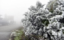 Miền Bắc đón không khí lạnh tăng cường, rét nhất dưới 5°C