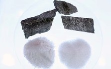 Sau vàng, bạc, đồng, đây là kim loại tiếp theo được dự báo tăng giá 50% trong năm 2026