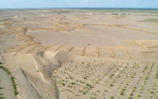 Phát minh chưa từng có trên thế giới của Trung Quốc: Không cần trồng cây vẫn phục hồi hàng nghìn hecta sa mạc, hiệu quả cao nhưng chi phí thấp