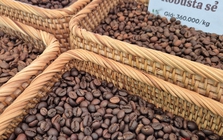 Giá cà phê hôm nay 7-1: Bật tăng, lấy lại mốc quan trọng