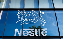 Nestlé thu hồi sữa tại 25 quốc gia do nghi nhiễm độc tố