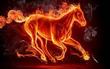 4 con giáp đầu năm vất vả, từ nay đến Tết Âm lịch “đổi vận” dễ giàu, hưởng trọn vận may Thần Tài ưu ái