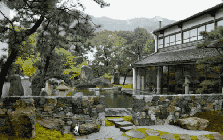 300m² đất thuê, 30 năm chỉ trồng 2 loại cây: Một bài toán “giữ tiền” ngược đời của đôi vợ chồng trung niên