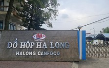 Khởi tố, bắt tạm giam 9 đối tượng liên quan vụ 120 tấn thịt lợn nhiễm bệnh "nằm kho" CTCP Đồ hộp Hạ Long