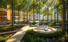 Charmora City tiên phong xu hướng sống xanh bền vững của giới thành đạt tại Nha Trang