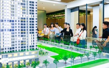 Bất động sản pháp lý hoàn thiện hút kiều hối cuối năm