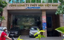 Novaland trở thành cổ đông lớn gián tiếp của Đồ hộp Hạ Long giữa biến cố 120 tấn thịt nhiễm dịch tả lợn