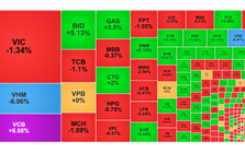 Chứng khoán ngày 8/1: VCB tím trần, VN-Index điều chỉnh