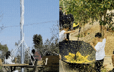 Vừa đi làm, vừa làm nông: Nông trại 400 mẫu trở thành quyết định tài chính đúng của đôi vợ chồng trung niên