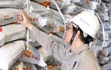 Mỗi nhân viên mang về gần hơn 900 triệu doanh thu/tháng, Đạm Phú Mỹ (DPM) toan tính gì cho năm 2026?