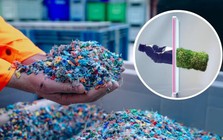 Phát minh làm thay đổi thế giới của người Đức: Biến rơm rạ, bã mía thành nhựa sinh học - sẽ là 'cứu tinh' cho 150 triệu tấn phụ phẩm nông nghiệp mỗi năm của Việt Nam?