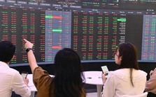 Thị phần môi giới sàn HoSE năm 2025 biến động ra sao?