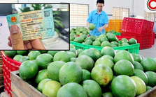 Cục Thuế nói rõ việc yêu cầu người bán hàng phải cung cấp CCCD để kê khai