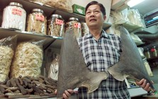 Vì sao vi cá mập lại đắt đến mức thành thước đo sự giàu sang?