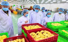 Láng giềng Việt Nam bất ngờ “lăng xê” 1 loại quả: Chợ Việt rất sẵn, sản lượng 2,08 triệu tấn, Trung Quốc mạnh tay chi 1,85 tỷ USD nhập khẩu
