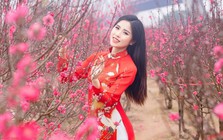 Bộ Nội vụ thông báo lịch nghỉ Tết Nguyên đán Đinh Mùi 2027