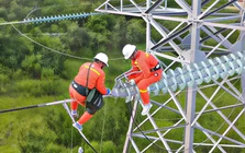 Tổng Công ty Truyền tải điện Quốc gia trước ngã rẽ tách khỏi EVN