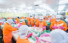 Nam Việt chia cổ tức bằng tiền mặt tỷ lệ 10%