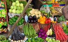 1 loại rau được Mỹ đánh giá ít ngậm thuốc trừ sâu bậc nhất: Trồng thùng xốp cũng lớn, thu đông chợ Việt bán la liệt
