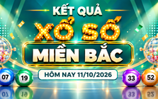 XSMB 11/10 - Kết quả xổ số miền Bắc hôm nay 11/10/2026