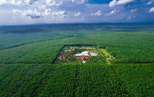 Giá cao su sát đỉnh 13 năm, một 'ông lớn' Việt Nam lại chuyển đất trồng thành khu công nghiệp
