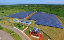 Trung Quốc là 'ông trùm' nhưng Cuba đang ồ ạt nhập mặt hàng này từ Mỹ - 'Họ đang trở thành khách hàng quan trọng của chúng ta'
